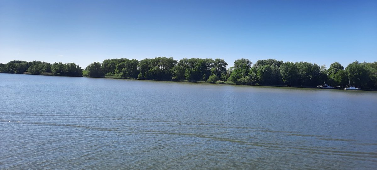 Dagje Biesbosch, zoveel rust op zo’n korte afstand…..Moederdag