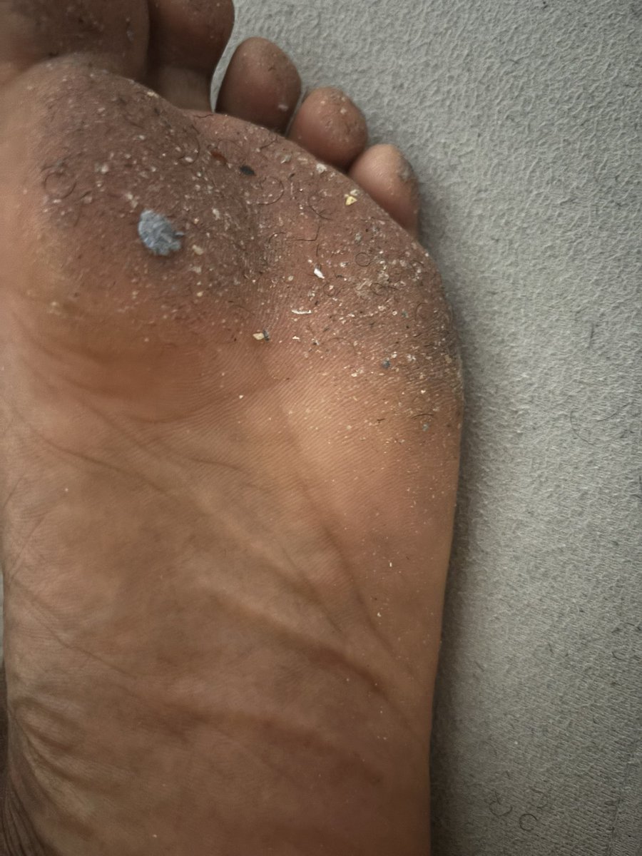 alphablackboyOF's tweet image. Jede Sklave verdient es ein schwarzen Master zu dienen !!  Es ist ein Fakt also fang an dich bei dir zu melden 🤴🏿🤴🏿🤴🏿 #zahlsklave #Master #schwarzermaster #kleingeldsklaven #straightAlphas #sockensklave