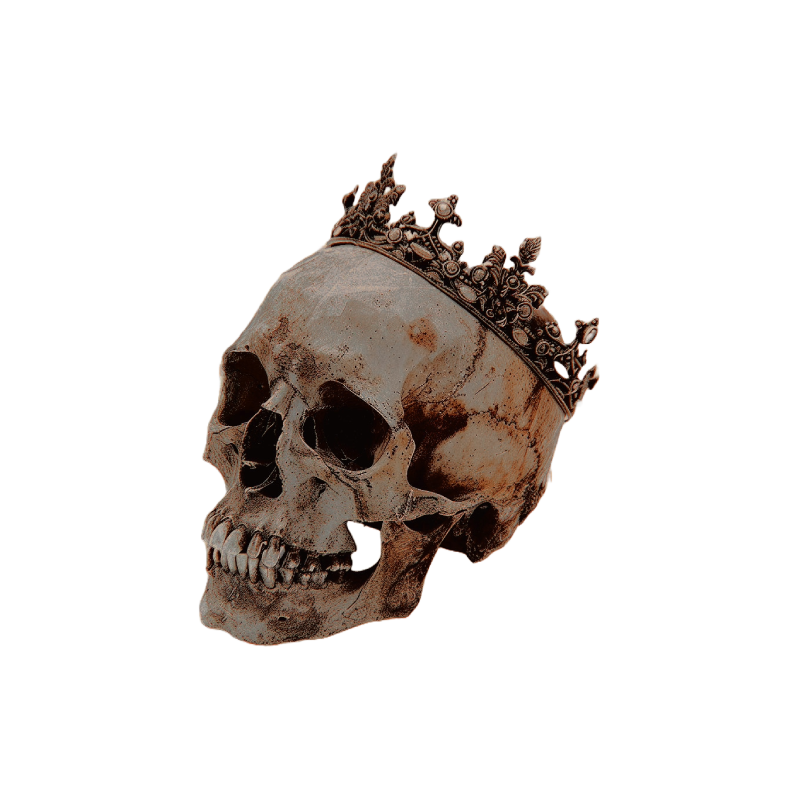 ⠀
⠀⠀⠀𝒕𝒉𝒆  𝒉𝒖𝒎𝒂𝒏  𝒆𝒚𝒆  𝒊𝒔 
⠀⠀⠀𝒈𝒐𝒅'𝒔  𝒍𝒐𝒏𝒆𝒍𝒊𝒆𝒔𝒕  𝒄𝒓𝒆𝒂𝒕𝒊𝒐𝒏.
⠀⠀