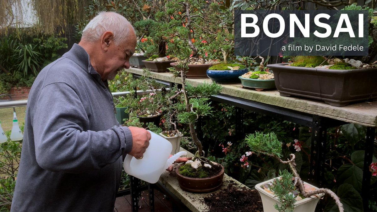 I just released a mini-trailer for my short film "BONSAI", featuring my dad Tony - soon to be BROADCAST on AUSTRALIAN TELEVISION (SBS and SBS on Demand), beginning July 1st 2025!

I'd love for you to watch: bit.ly/BonsaiTrailer