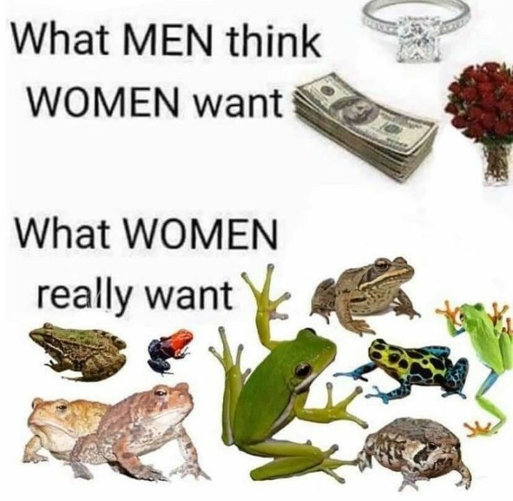 No Context Frogs (@nocontextfrogs) on Twitter photo 