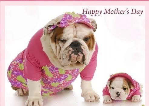 Happy Mother’s Day y’all.