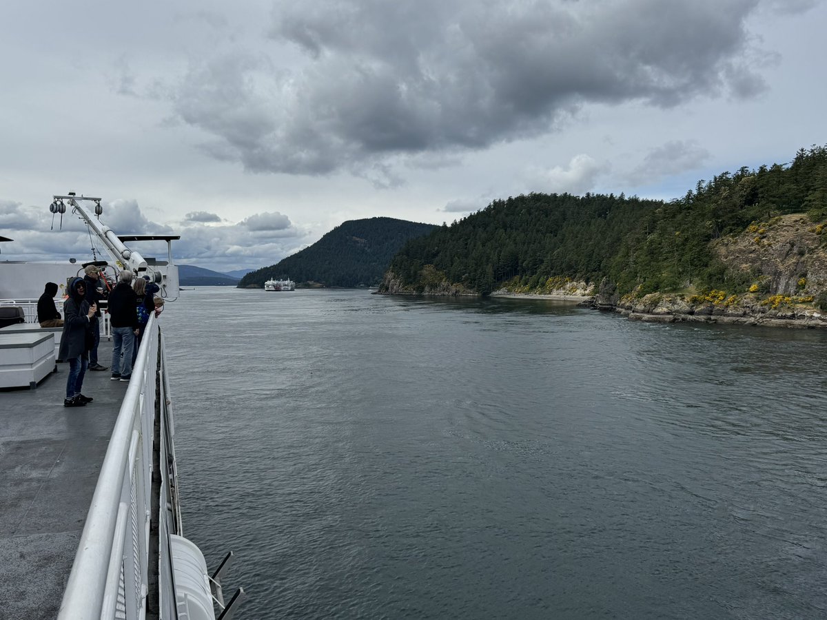 Prof Alice Roberts💙 tweet media