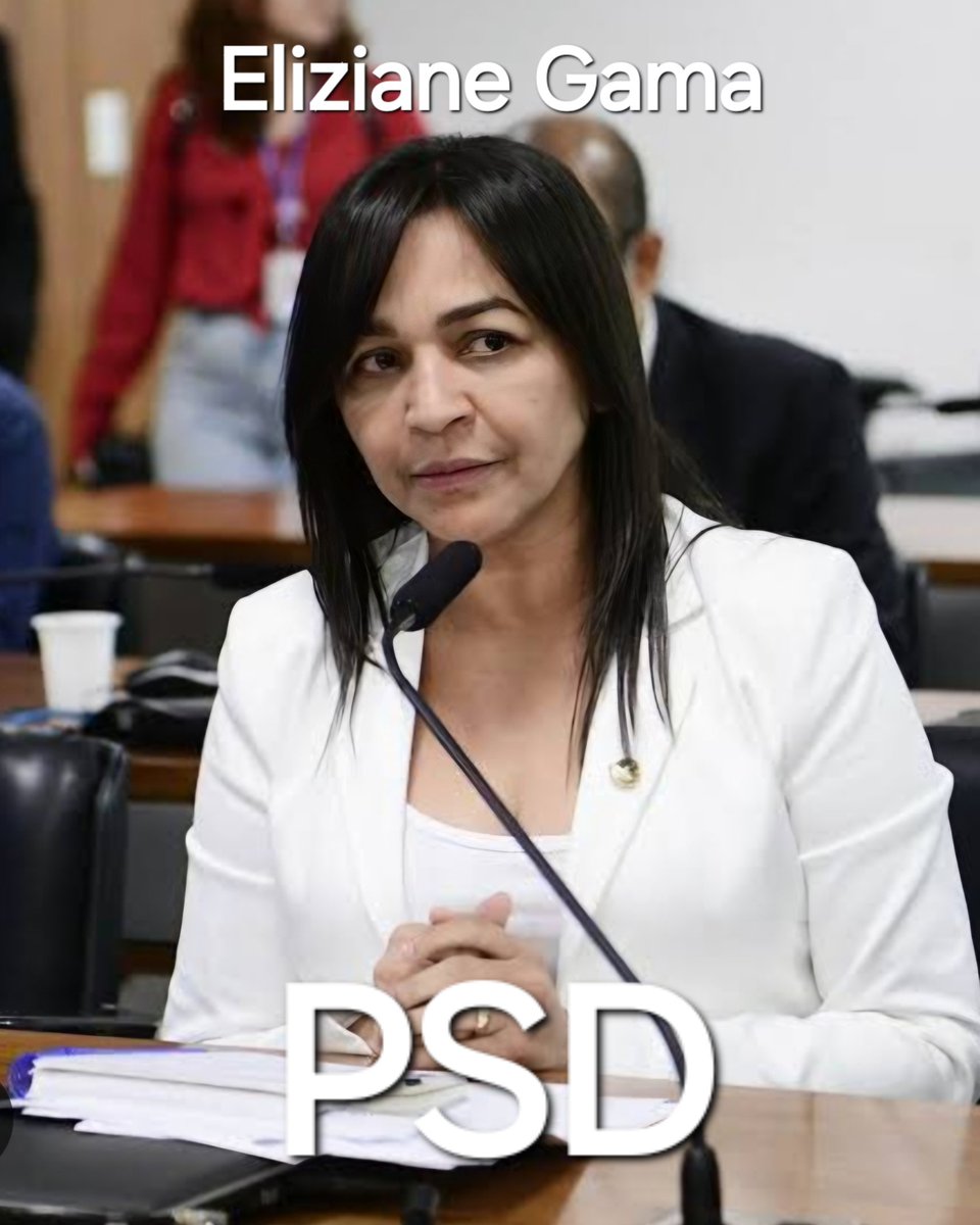 Tumultobracervo's tweet photo. Outra que não assinou a CPMI do INSS.
Mas a culpa é do Bolsonaro. 

Já sabem sabem, chega logo 2026. https://t.co/LvEDOQZS3f