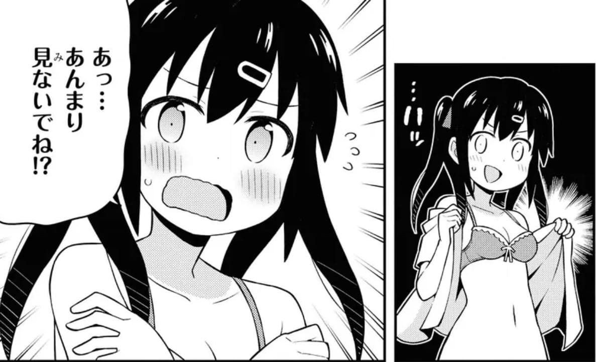 お兄ちゃんはおしまい!のエロシーン5