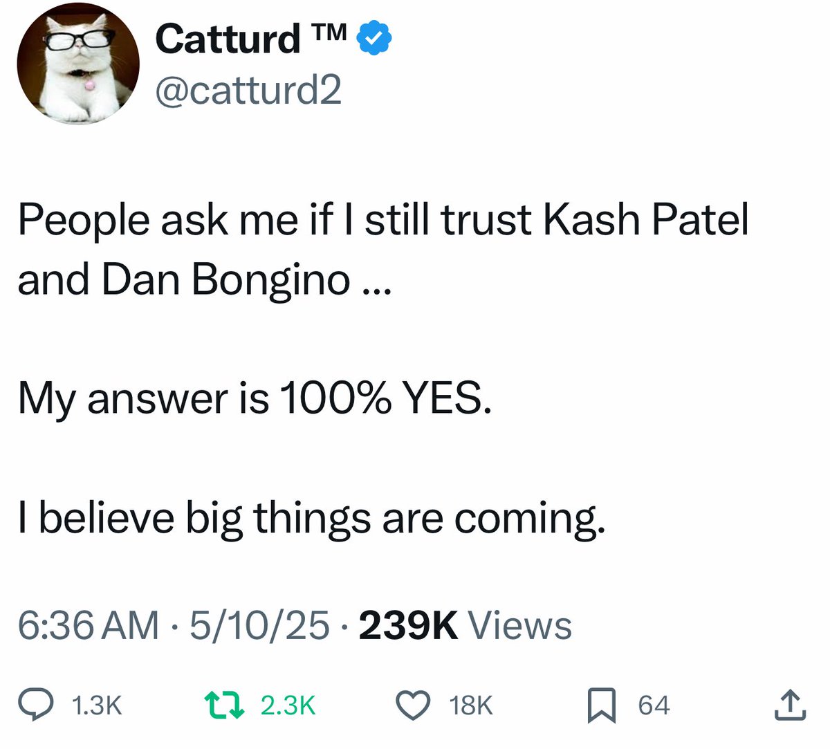 Gina Stilettos (@ginastilettos) on Twitter photo 