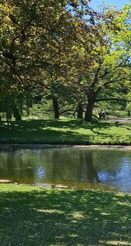 Kees3370's tweet photo. Vandaag. Mooie aan het water. . https://t.co/ikl1tFXCOL