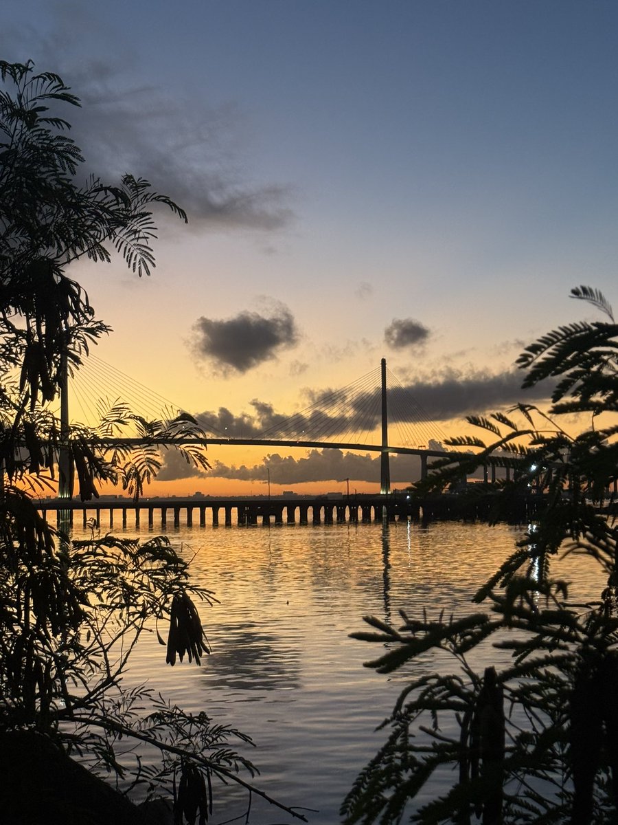 kitC06's tweet image. The bridge stretched far, my breath ran thin. But the sun rose—and so did I. Leaving this here to remember: I made it, with life and all its weight.