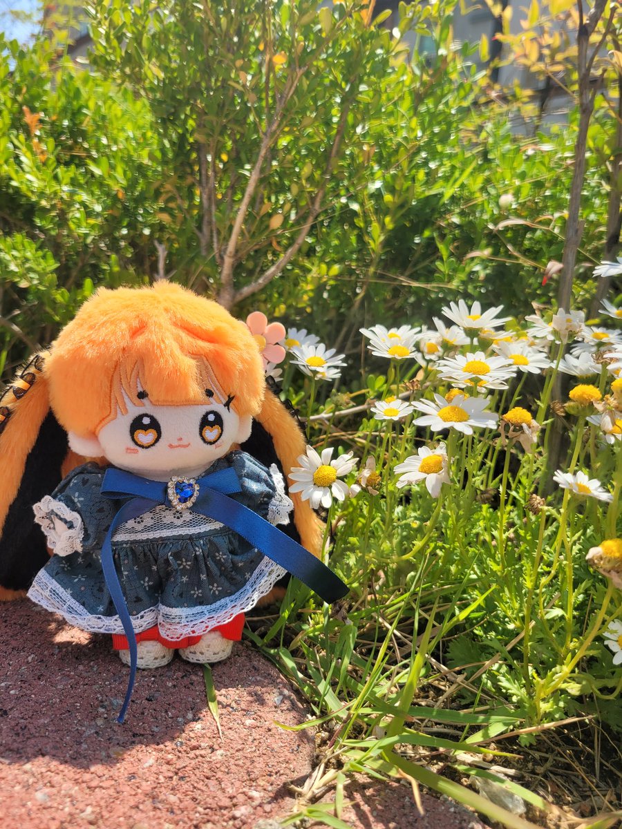 햇빛이 좋은 계절🧡💛

#밍맹묭
#호박포리

👗 <a href="/Moonlit_weaver/">🌙문릿 위버🧵🪡</a>