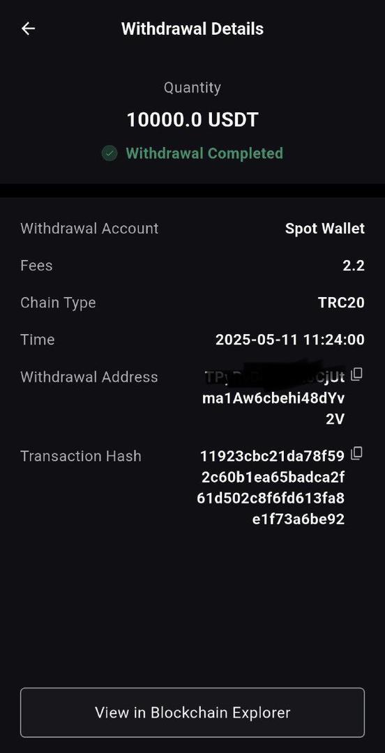 Adriana Wilde (@bitcointrader97) on Twitter photo 