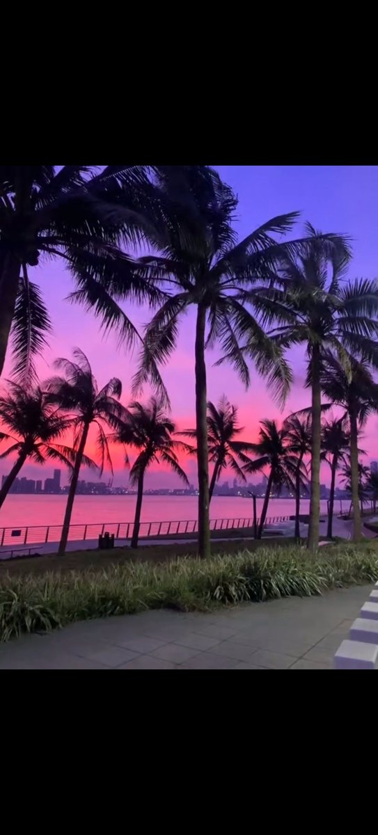 椰林晚霞，真美