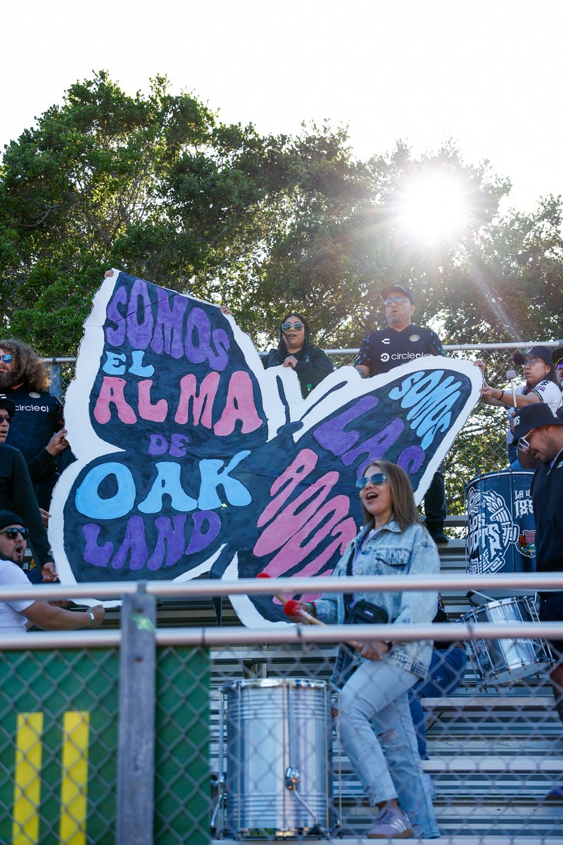 Oakland Soul (@oaklandsoulsc) on Twitter photo 🦋
"Somos el alma de Oakland"
We are Oakland's Soul.
🫶 <a href="/LosRoots_SG/">LosRoots_SG</a>
#OAKvASC | #SoulofTheTown 🦋
"Somos el alma de Oakland"
We are Oakland's Soul.
🫶 <a href="/LosRoots_SG/">LosRoots_SG</a>
#OAKvASC | #SoulofTheTown