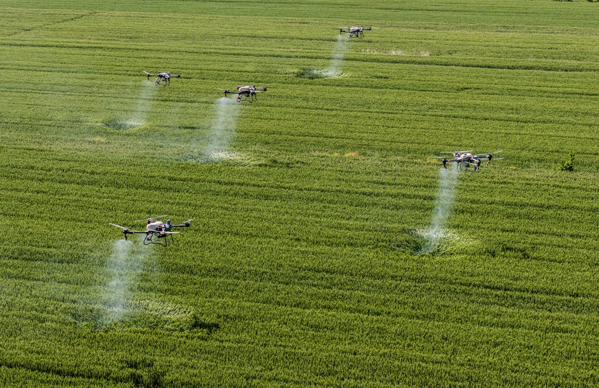 ShutterLife888's tweet image. On May 11, a cooperative in Pinglu County, Yuncheng, used drones for &quot;one spray, three prevention,&quot; covering over 250,000 acres of wheat to boost yields.
#Yuncheng #PingluCounty #DroneFarming #SummerHarvest