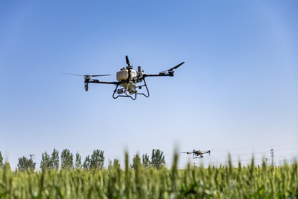 ShutterLife888's tweet image. On May 11, a cooperative in Pinglu County, Yuncheng, used drones for &quot;one spray, three prevention,&quot; covering over 250,000 acres of wheat to boost yields.
#Yuncheng #PingluCounty #DroneFarming #SummerHarvest
