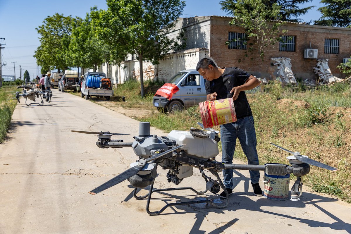 ShutterLife888's tweet image. On May 11, a cooperative in Pinglu County, Yuncheng, used drones for &quot;one spray, three prevention,&quot; covering over 250,000 acres of wheat to boost yields.
#Yuncheng #PingluCounty #DroneFarming #SummerHarvest