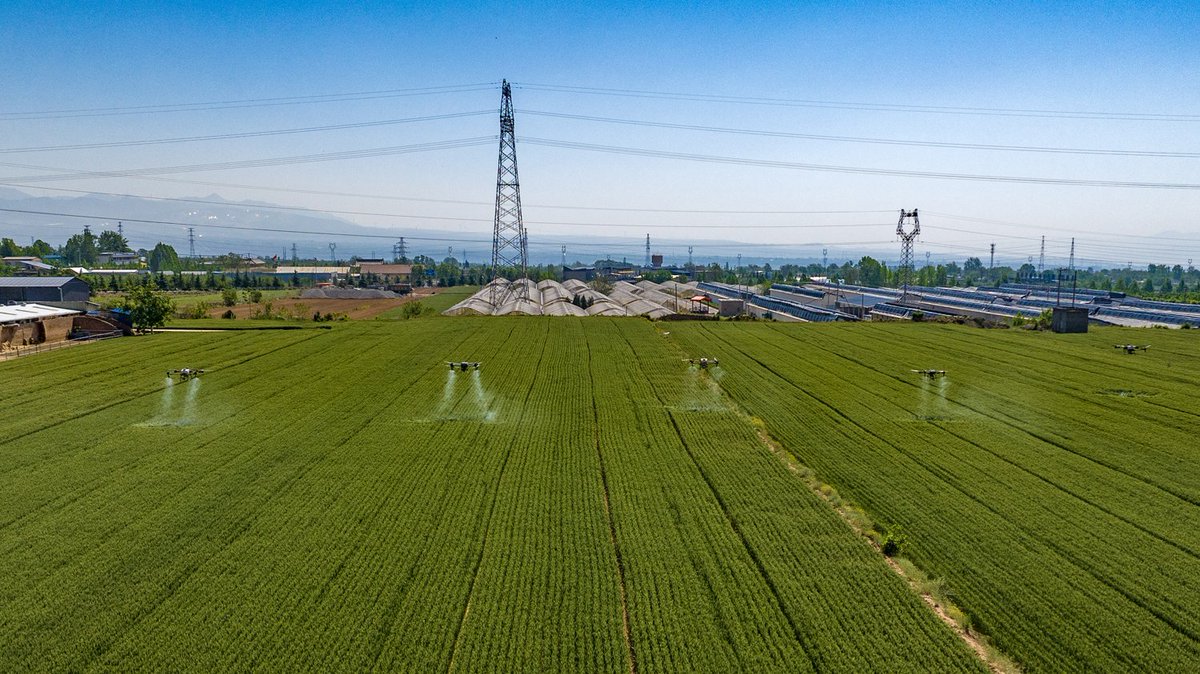 ShutterLife888's tweet image. On May 11, a cooperative in Pinglu County, Yuncheng, used drones for &quot;one spray, three prevention,&quot; covering over 250,000 acres of wheat to boost yields.
#Yuncheng #PingluCounty #DroneFarming #SummerHarvest