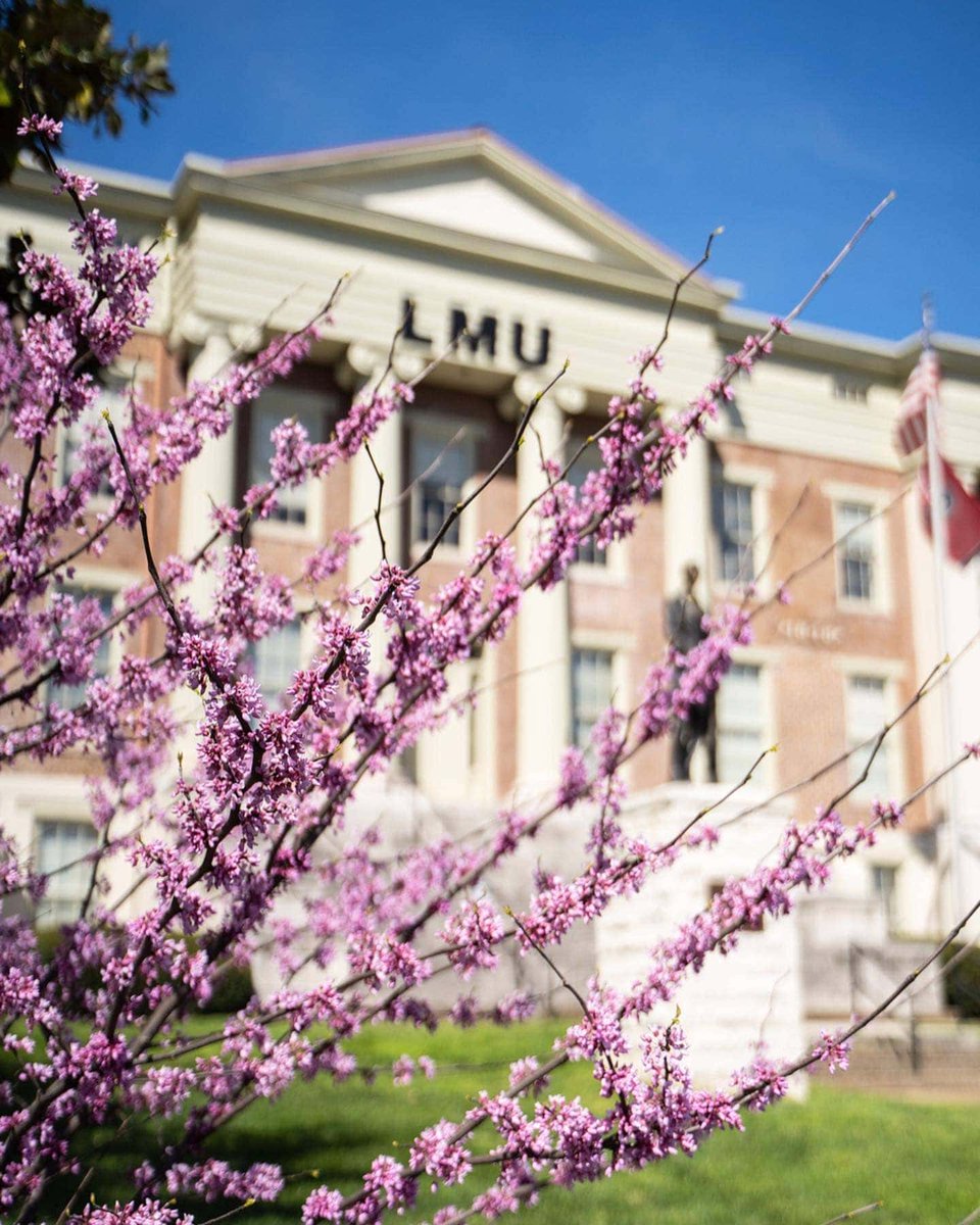 Behind every great Railsplitter is someone cheering them on—and today, we celebrate the moms and maternal figures who’ve been there through every chapter.
Happy Mother’s Day, and thank you for all you do! 💙 #LMUFamily #MothersDay