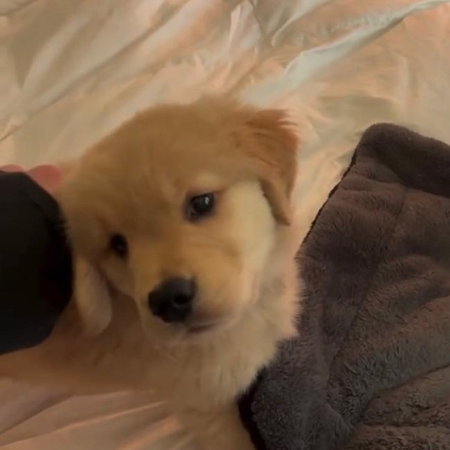 takemybear 🐶 tweet media
