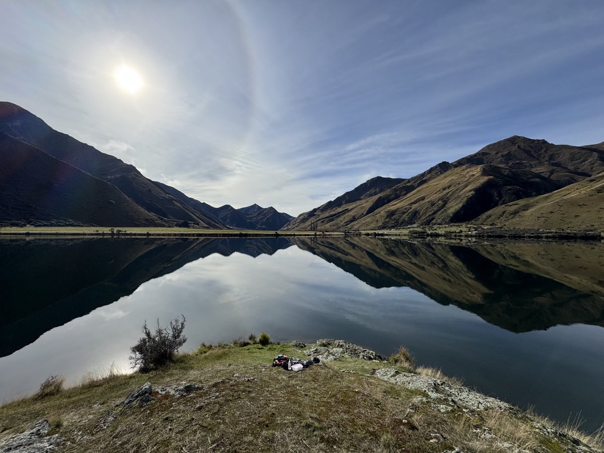 Jane Bloomfield tweet media