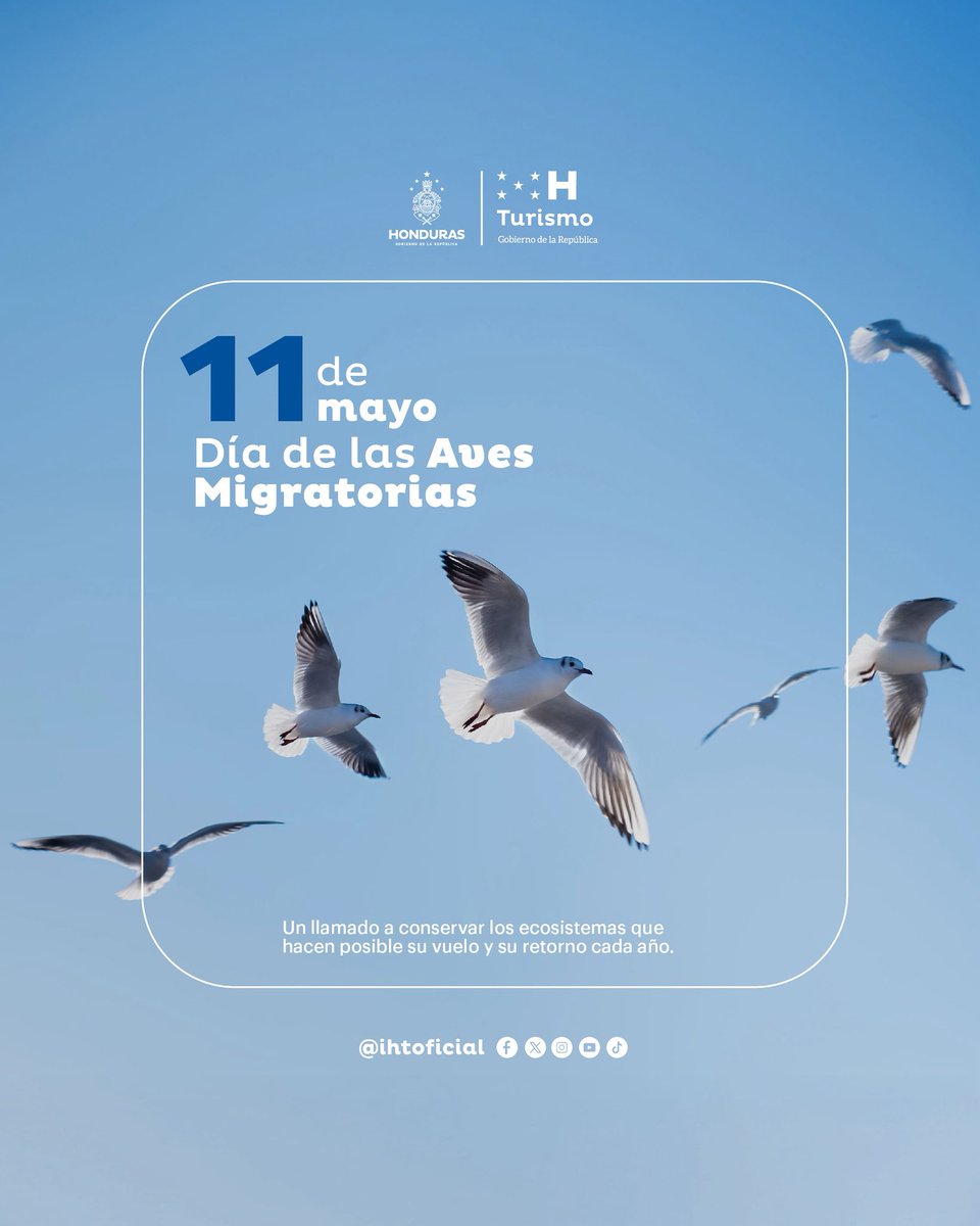 Conmemoramos el valor de las aves migratorias y la importancia de preservar los ecosistemas que sustentan su travesía.

El compromiso con la conservación es clave para el equilibrio ambiental y el desarrollo sostenible del país.

#IHT #Honduras #Turismo #Aves
