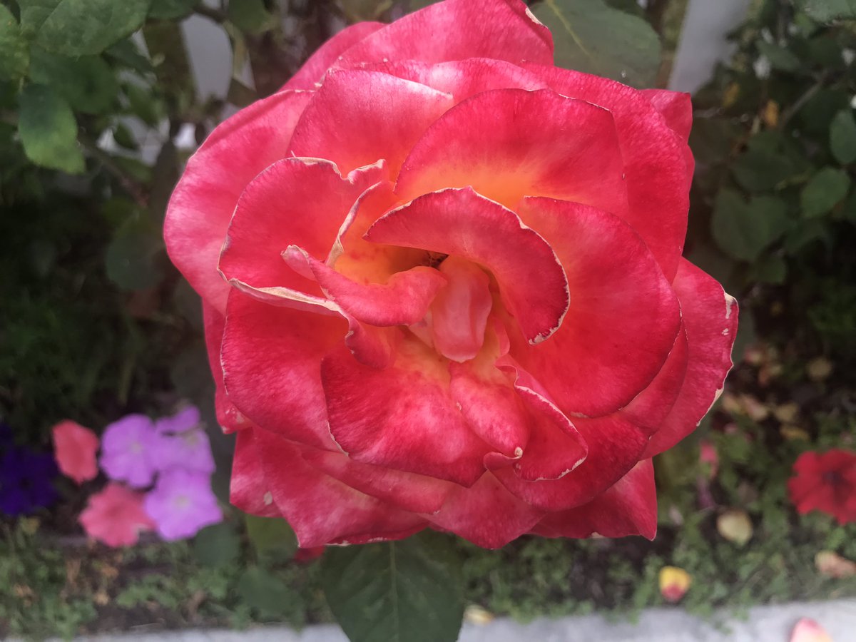 The BusBoys send Mother’s Day love and goodness to all mothers around the world. They provided life to all and help provide hope for the future.
Brian O’Neal and The BusBoys