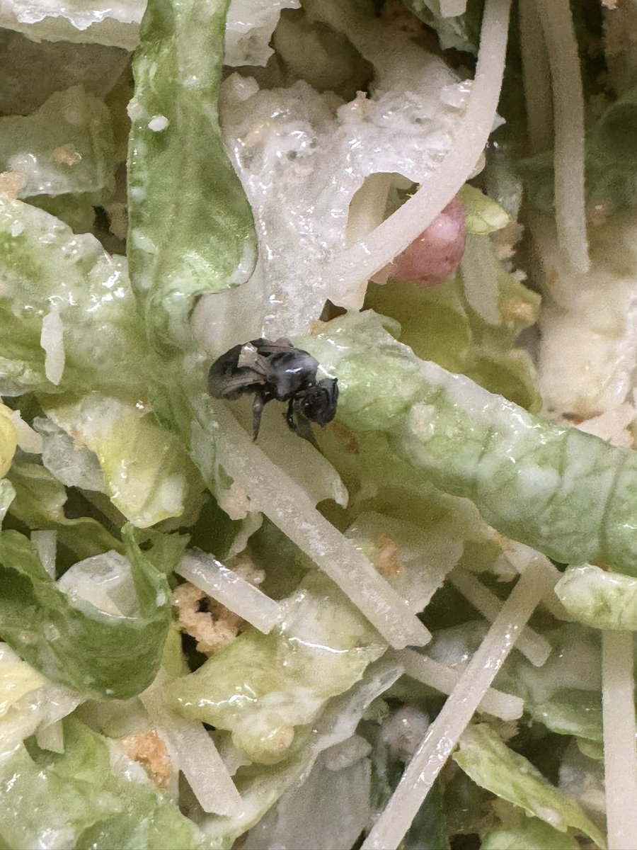 Steve Kosted tweet media