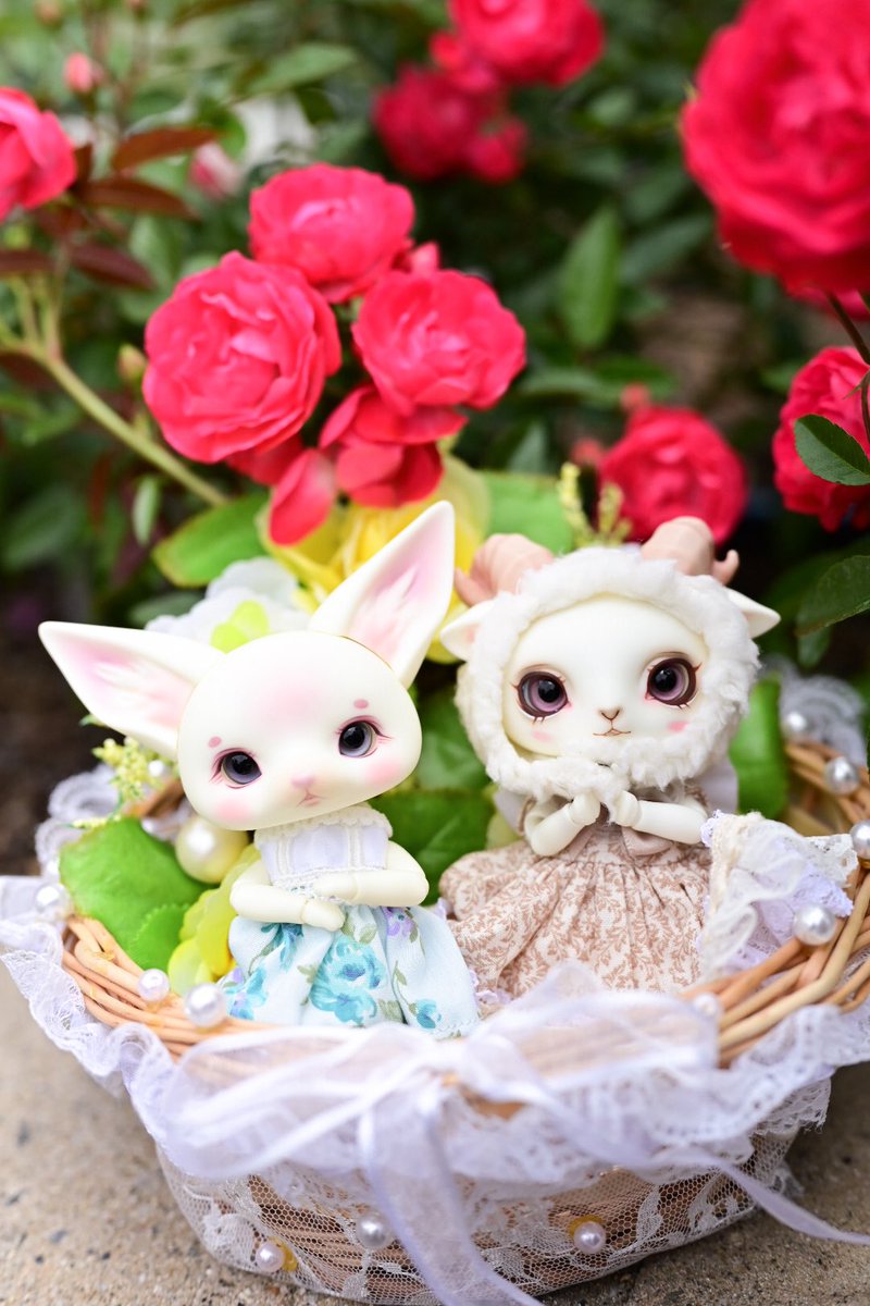 drops0401's tweet photo. 涼しく風が心地よい撮影日和。

#Dearmine #LORENZbean https://t.co/hrLSrOvj1i