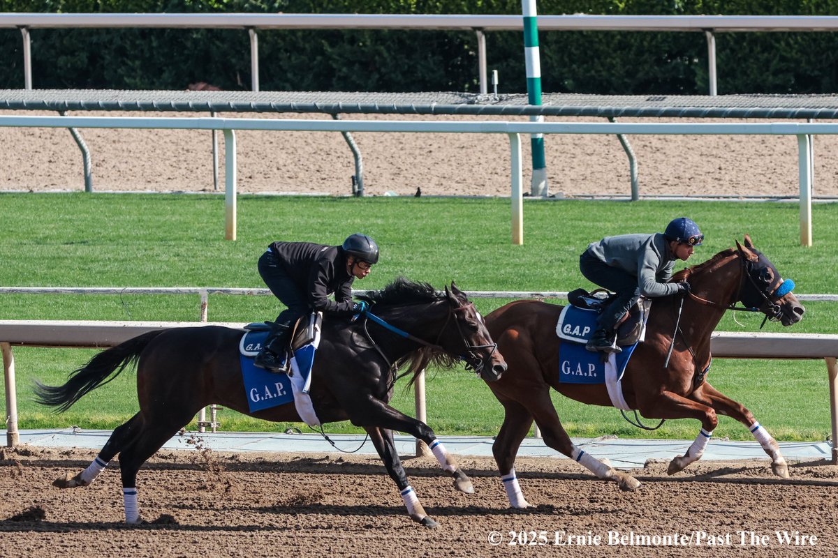 Ernie Belmonte (@erniebphoto93) on Twitter photo Cabo Spirit (outside, 5F: 1:00.60 H) working this morning in company with Lorenzo Bernini (inside, 5F: 1:00.60 H). Hall of Fame jockey <a href="/mikeesmith10/">mike e smith</a> aboard Cabo Spirit and jockey <a href="/JockeyHerrera/">Diego Herrera</a> aboard Lorenzo Bernini. Cabo Spirit (outside, 5F: 1:00.60 H) working this morning in company with Lorenzo Bernini (inside, 5F: 1:00.60 H). Hall of Fame jockey <a href="/mikeesmith10/">mike e smith</a> aboard Cabo Spirit and jockey <a href="/JockeyHerrera/">Diego Herrera</a> aboard Lorenzo Bernini.