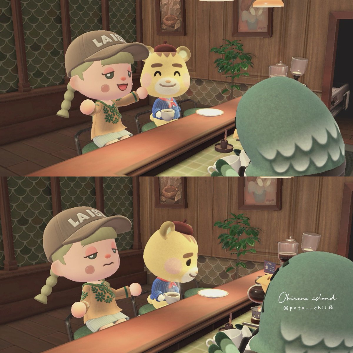 マーティー初めて会った🧸☕️
たくさん近況聞いてもらいました🌿.∘