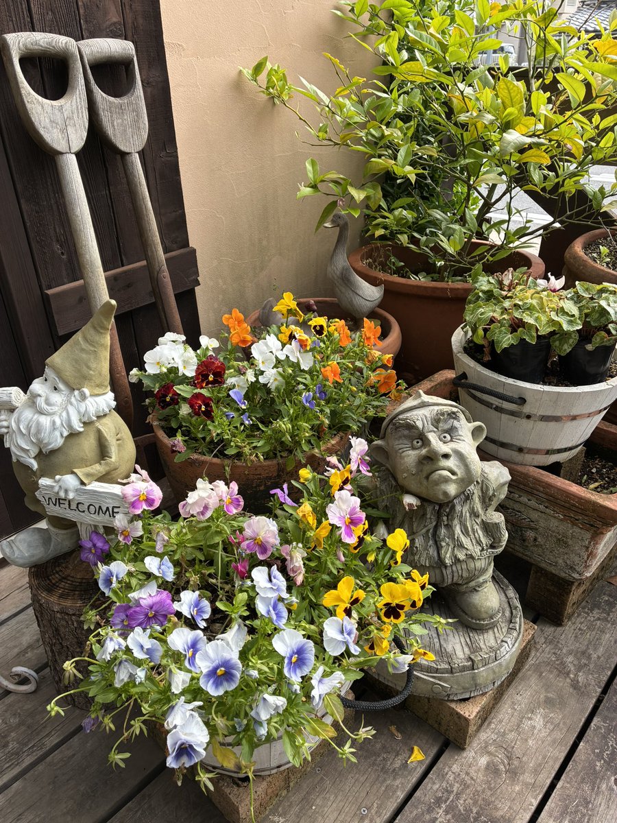 DimancheCafe's tweet image. 今日は、新しく買ったメガネで仕事します。どうかな？こちら、千葉の海沿いは雨が降りそうな天気です。定休日明けなので気合いを入れて頑張ります。