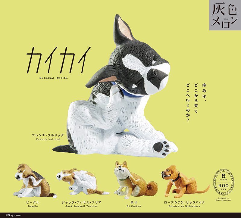 カイカイ ブラック&ホワイト　日本語版　美品