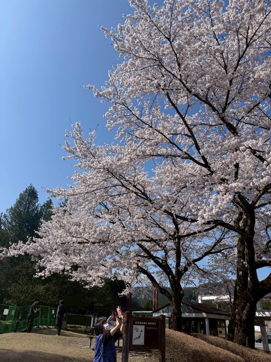 【新歓旅行】
新歓旅行で軽井沢に行きました‼️
自然豊かな軽井沢でショッピングやグルメを楽しみました♪
2025年度もよろしくお願いします🙇‍♂️
#日吉寄宿舎 #春から慶應 #慶應義塾