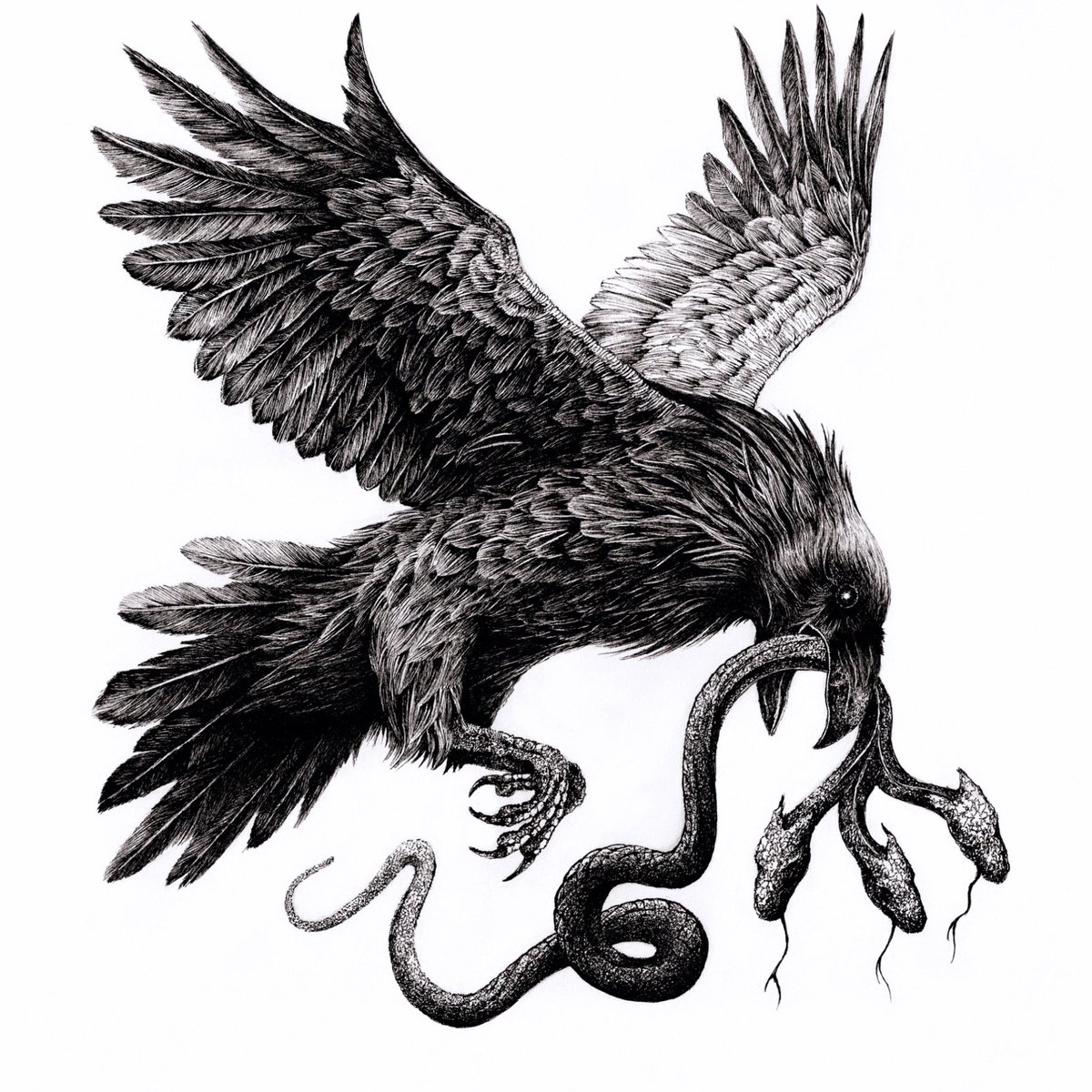 Birds and snakes