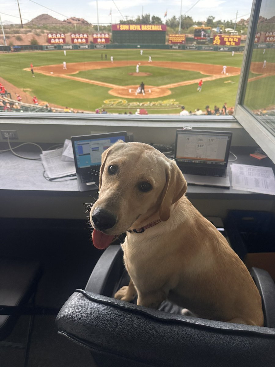 Jeremy Hawkes (@jeremyhawkes) on Twitter photo I didn’t need that seat anyways.
Eddie Bloomquist overseeing ASU’s 10th series dub of the year.
<a href="/ASU_Baseball/">Sun Devil Baseball</a> ties as the 14th team among Power 4/multi-bid leagues to reach double digit weekend wins. I didn’t need that seat anyways.
Eddie Bloomquist overseeing ASU’s 10th series dub of the year.
<a href="/ASU_Baseball/">Sun Devil Baseball</a> ties as the 14th team among Power 4/multi-bid leagues to reach double digit weekend wins.