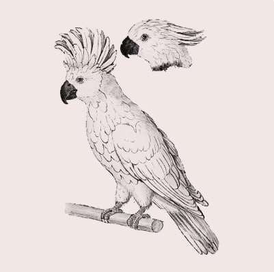 rustydeance's tweet photo. This is a parrot statue.😍😍 https://t.co/00ad9saHzK