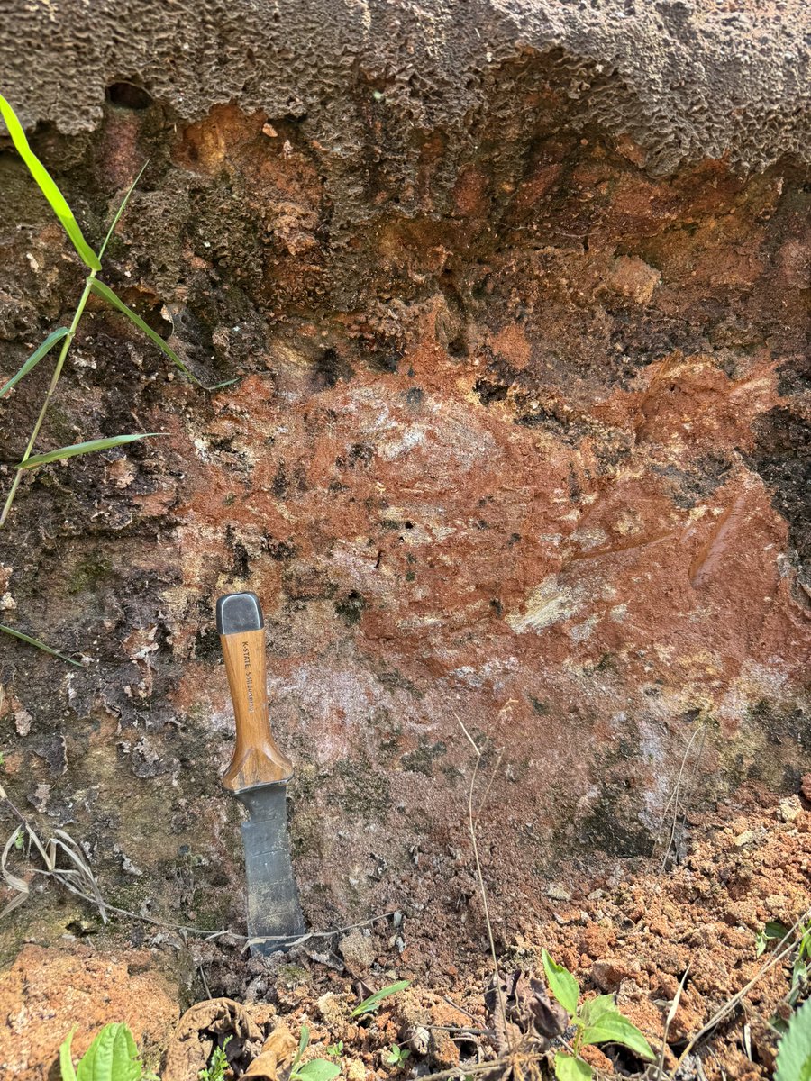 First #soil in Cameroon is this Oxisol (way top of road cut) weathering in gniess. We dug around that gniess a lot looking at saprolite weathering. Man on the left is my gracious host Dr. Georges Ndzana of Dschang U.