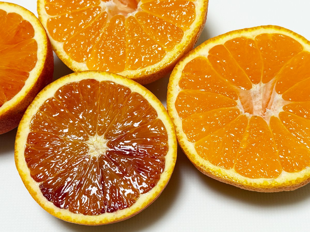 おはようございます🍊
ブラッドオレンジ配り散らかし週間です。固定で開始しておりまして、さらに昨日で終了したブラッドオレンジ配りの抽選をします。横のデコやろうも最終セール中で間もなく在庫終了です。完熟！
