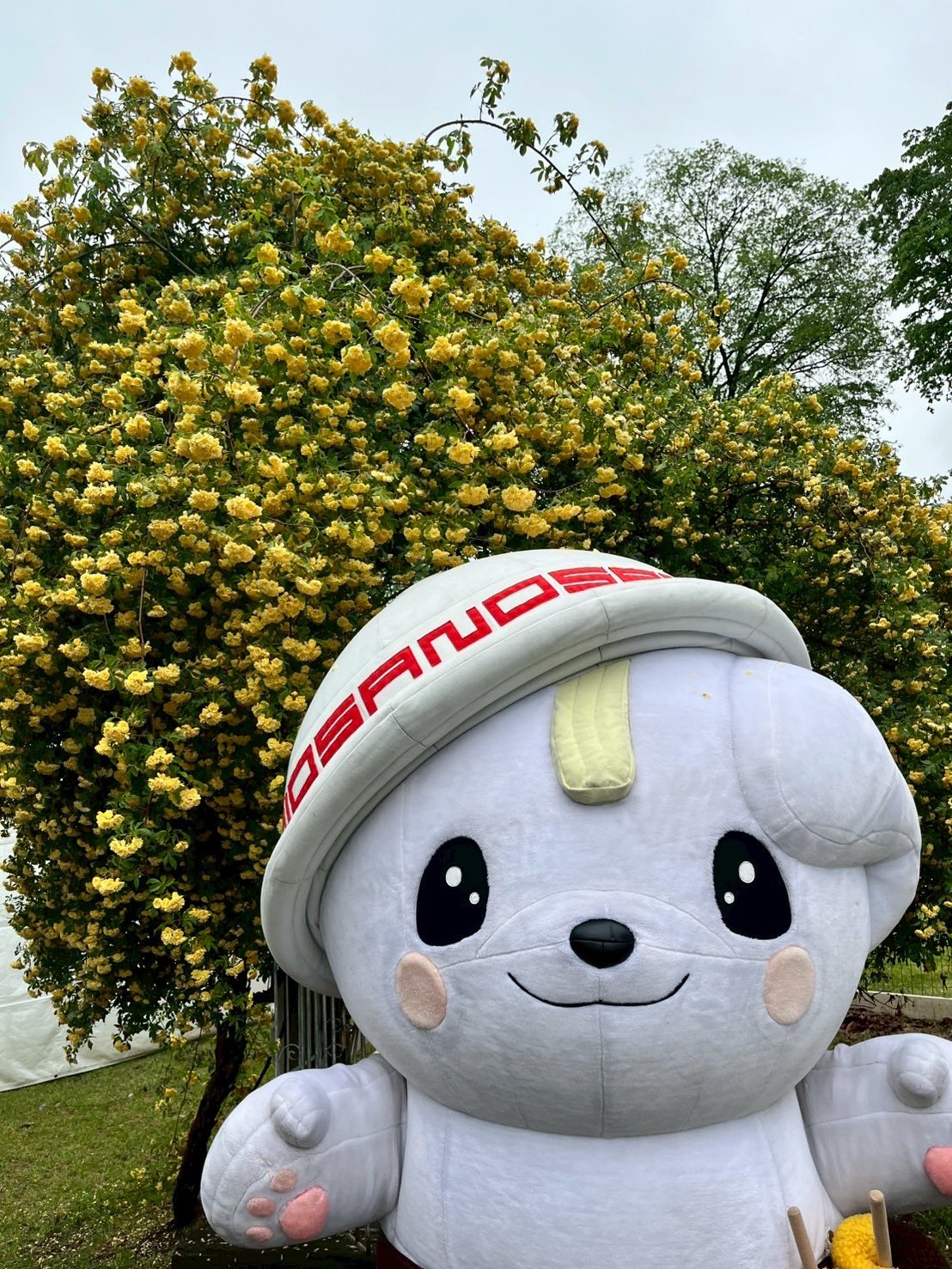 さのまる 佐野市 / 佐野ブランドキャラクター さのまる 原付