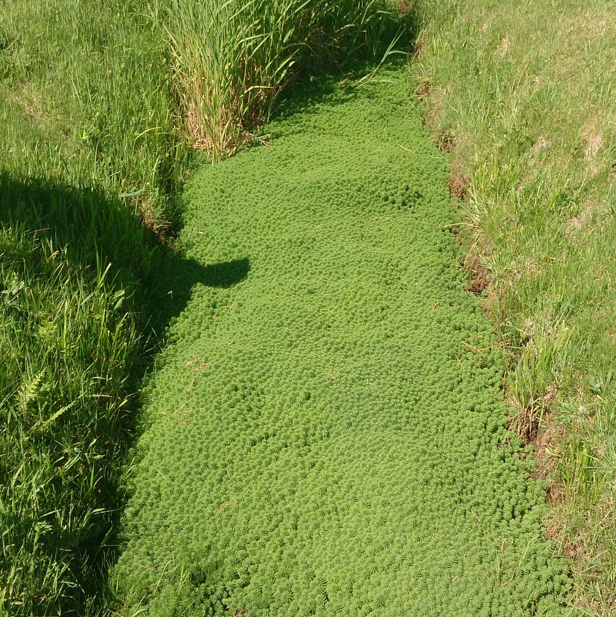 Curious about the ongoing projects in Richmond?
🌟 The 2025 Capital Project Highlights are now online!Explore upcoming improvements across public spaces, sustainability, infrastructure, and more online and send in your questions until Sun, Jun 8. 
More: LetsTalkRichmond.ca