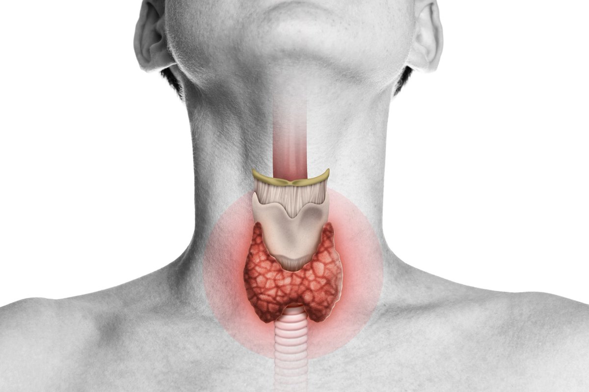 News Medical (@newsmedical) on Twitter photo Vegetarians may need to watch thyroid health, especially with low iodine intake 🥦🧠📊 news-medical.net/news/20250511/… #Thyroid #Health #Vegetarian #Diet #PlantBased #Hypothyroidism #Nutrition #BMI #Iodine #PublicHealth #Epidemiology <a href="/BMCMedicine/">BMC Medicine</a> Vegetarians may need to watch thyroid health, especially with low iodine intake 🥦🧠📊 news-medical.net/news/20250511/… #Thyroid #Health #Vegetarian #Diet #PlantBased #Hypothyroidism #Nutrition #BMI #Iodine #PublicHealth #Epidemiology <a href="/BMCMedicine/">BMC Medicine</a>