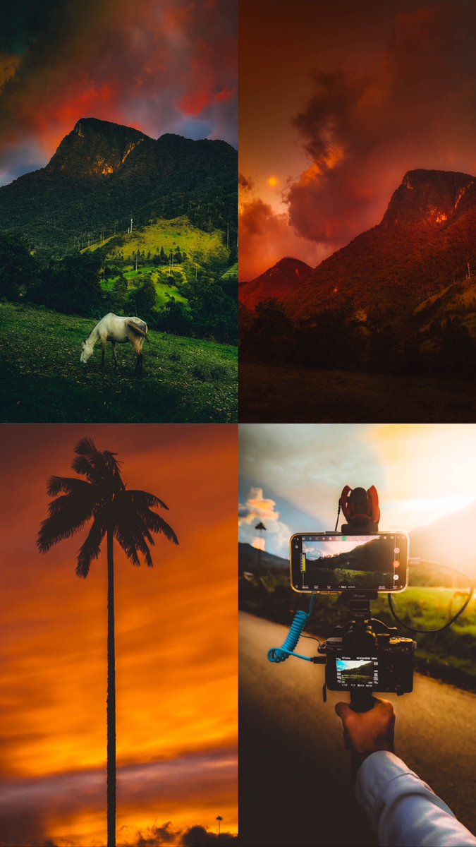 Ayer hicimos nuestras pruebas de IRL Streaming y nos encontramos con un magnífico atardecer en el Valle de Cocora. Pudimos observar como a medida que el sol finalmente desaparece en el horizonte, una sensación de conexión con la naturaleza inunda el ambiente.