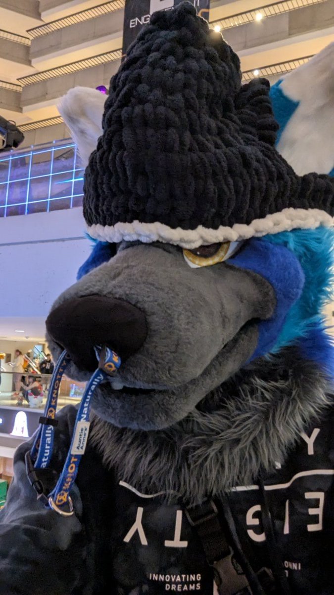 The second head of a friend has been stolen be careful might steal yours too🤭🤭 #FWA2025 #furry #fursuit