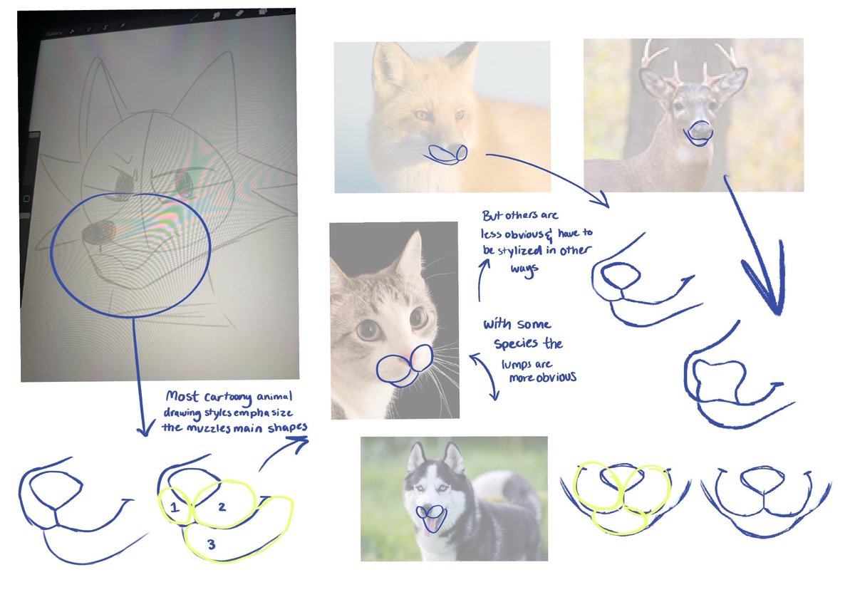 pj !! 🌾 tweet media