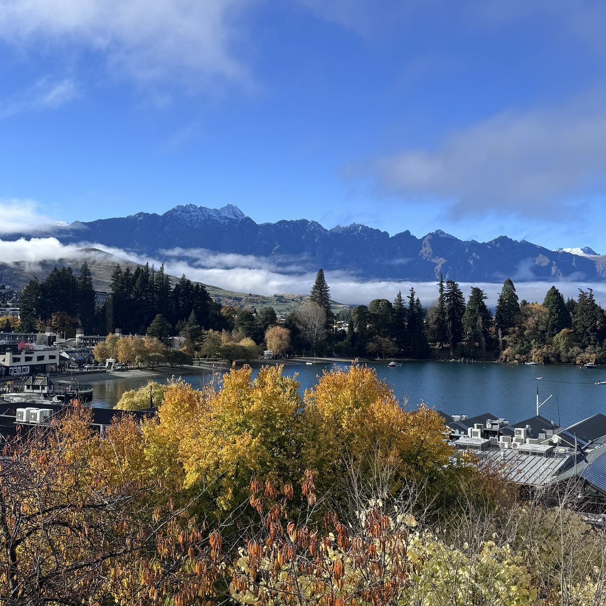 haha🌈.sats tweet media