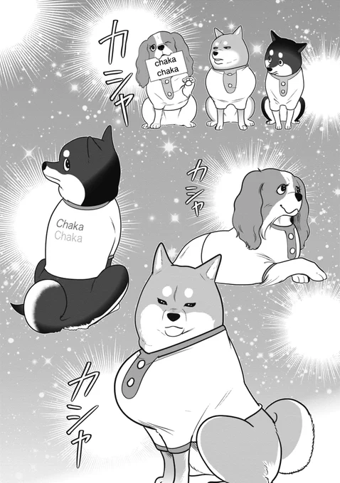 初めてモデルに挑んだ犬たちの話🐕1 