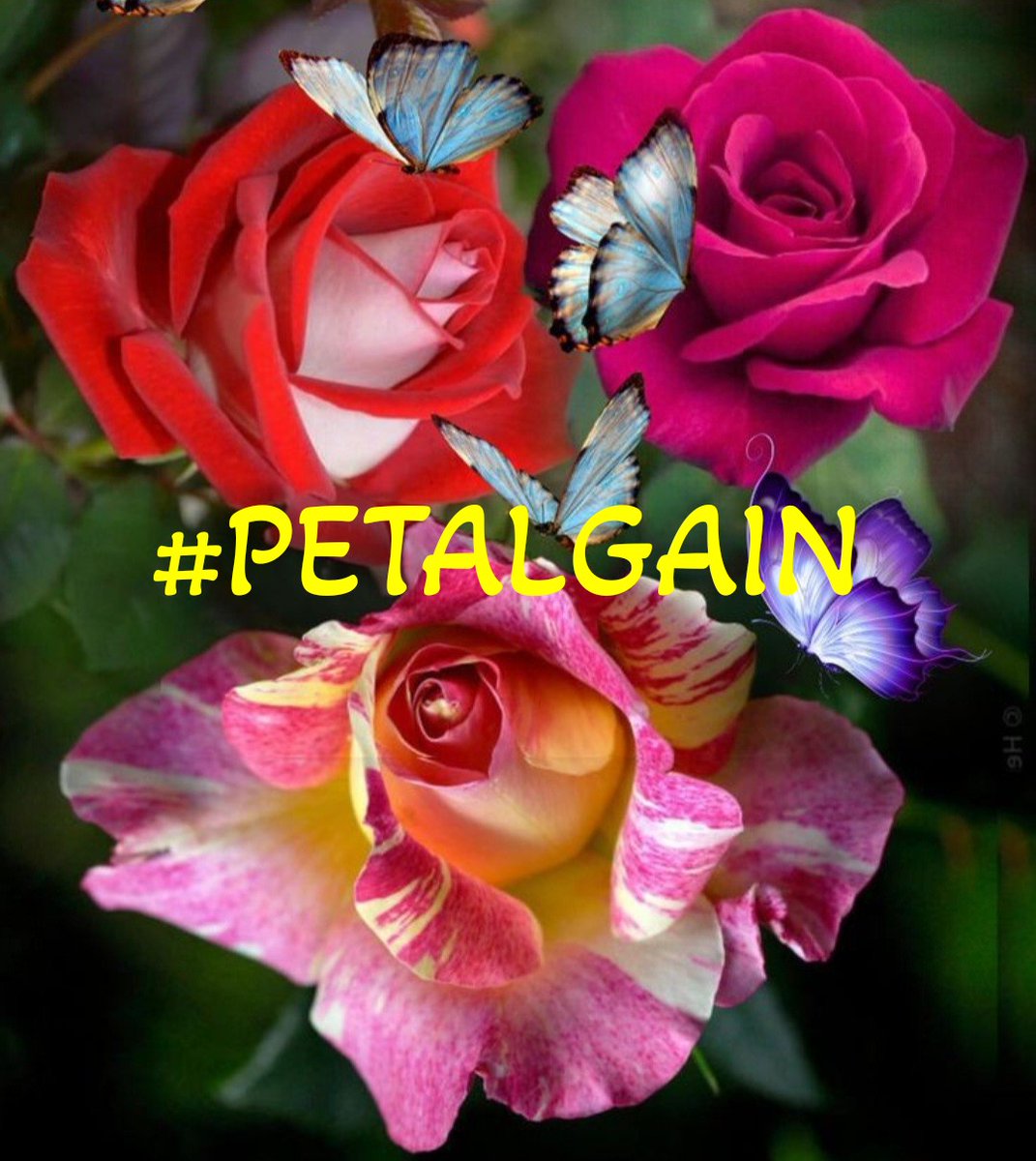 BlueA125 (@bluea125) on Twitter photo #PETALGAIN
<a href="/swydersk/">Deb #TmPetaL🌹#Resist💙 #NeverTrump Enjoy the ride</a> <a href="/lumpie125/">lumpie125</a>
<a href="/MARTHA_CAN2/">MARTHA 👑</a>
<a href="/_ALESXIA/">꒰ ͜͡➸ 🔴 A̫̫L̫̫E̫̫S̫̫X̫̫I̫̫A̫̫ ꒰ ͜͡➸🔴</a>
<a href="/WALLI27/">Jhon f perez🎶🎸🚵☯</a>
<a href="/ONE_WORLD_UN/">UncleReTweet</a>
<a href="/monicampon/">🌷 Mₒ𝚗ᵢCₐᗰ𝐩ₒ𝚗 🌷</a>
<a href="/Jamesspencer211/">James Spencer #GAINWITHPETAL #TMPETAL #Teamspirit</a>
<a href="/Siogo61/">@siogo61</a>
<a href="/bluea125/">BlueA125</a>
<a href="/LauraM24960/">LAURA 👑</a>
<a href="/OlgaPart1/">˚₊· ͟͟͞͞➳❥💎 OLGA 💎˚₊· ͟͟͞͞➳❥</a>
<a href="/DALIHAH_/">꧁•❥ 💙ᗪ卂ㄥ丨卄卂卄_❥ 💙꧂</a>
<a href="/GRAHAM15583/">🅶🆁🅰🅷🅰🅼</a>
<a href="/coffee_love462/">❄️☕️Maddy - IFB☕️❄️</a>
<a href="/AniBaldovinos/">🍃🌻 ANA MARIA 🌻🍃</a>
<a href="/Spencerjames211/">Spencer James #GAINWITHPETAL #TMPETAL #Teamspirit</a>
<a href="/CLARABENZA/">👠🛍️ CLARA 🛍️👠</a>
<a href="/SOY_ALESXIA2/">🎀 ❥ SOY_ALESXIA2 ❥ 🎀</a>
<a href="/MirnaVernal/">👑 MIRNA 🛍🛍</a>
<a href="/MARTHAMUSSY/">⚘MARTHA MUSSY ⚘</a> #PETALGAIN
<a href="/swydersk/">Deb #TmPetaL🌹#Resist💙 #NeverTrump Enjoy the ride</a> <a href="/lumpie125/">lumpie125</a>
<a href="/MARTHA_CAN2/">MARTHA 👑</a>
<a href="/_ALESXIA/">꒰ ͜͡➸ 🔴 A̫̫L̫̫E̫̫S̫̫X̫̫I̫̫A̫̫ ꒰ ͜͡➸🔴</a>
<a href="/WALLI27/">Jhon f perez🎶🎸🚵☯</a>
<a href="/ONE_WORLD_UN/">UncleReTweet</a>
<a href="/monicampon/">🌷 Mₒ𝚗ᵢCₐᗰ𝐩ₒ𝚗 🌷</a>
<a href="/Jamesspencer211/">James Spencer #GAINWITHPETAL #TMPETAL #Teamspirit</a>
<a href="/Siogo61/">@siogo61</a>
<a href="/bluea125/">BlueA125</a>
<a href="/LauraM24960/">LAURA 👑</a>
<a href="/OlgaPart1/">˚₊· ͟͟͞͞➳❥💎 OLGA 💎˚₊· ͟͟͞͞➳❥</a>
<a href="/DALIHAH_/">꧁•❥ 💙ᗪ卂ㄥ丨卄卂卄_❥ 💙꧂</a>
<a href="/GRAHAM15583/">🅶🆁🅰🅷🅰🅼</a>
<a href="/coffee_love462/">❄️☕️Maddy - IFB☕️❄️</a>
<a href="/AniBaldovinos/">🍃🌻 ANA MARIA 🌻🍃</a>
<a href="/Spencerjames211/">Spencer James #GAINWITHPETAL #TMPETAL #Teamspirit</a>
<a href="/CLARABENZA/">👠🛍️ CLARA 🛍️👠</a>
<a href="/SOY_ALESXIA2/">🎀 ❥ SOY_ALESXIA2 ❥ 🎀</a>
<a href="/MirnaVernal/">👑 MIRNA 🛍🛍</a>
<a href="/MARTHAMUSSY/">⚘MARTHA MUSSY ⚘</a>