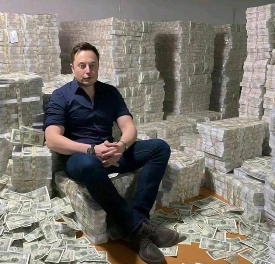 Not Elon Musk tweet media