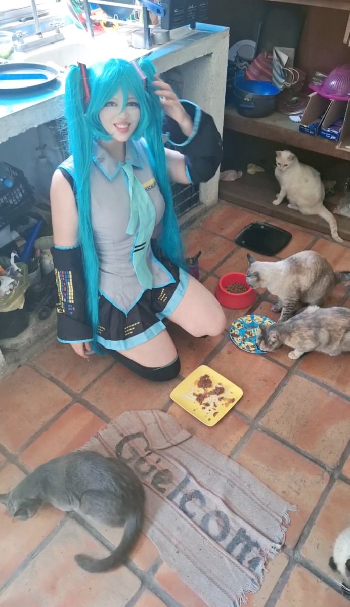 Kaorim 🍑 CEO of thicc tweet media