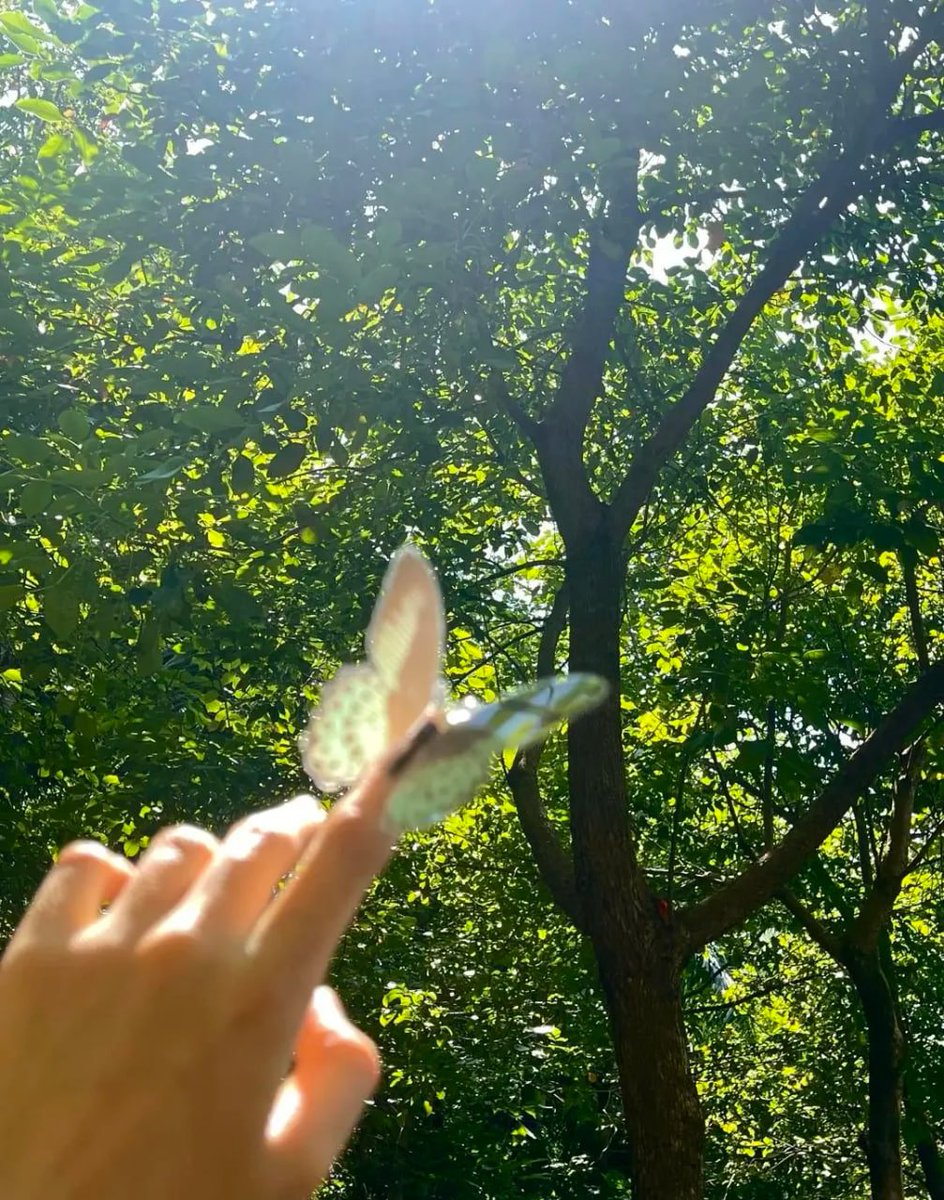 🌸✨今日という日は二度と来ない大切な一日。  
太陽の光と自然の息吹を感じて、自分らしい瞬間をかみしめる🌿🌞  
小さな幸せが輝きを放つとき、心もそっと温かくなるね🦋💛