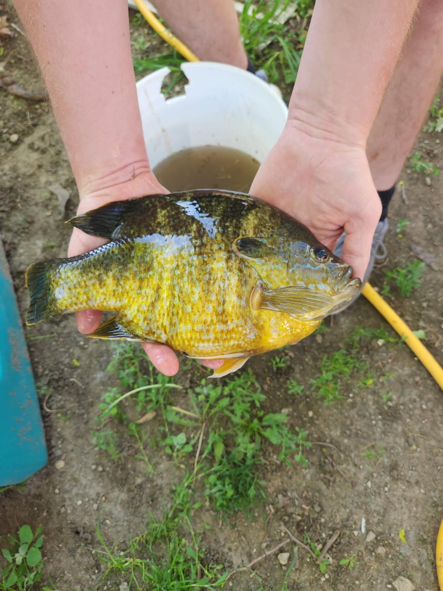 Nick Kramer tweet media